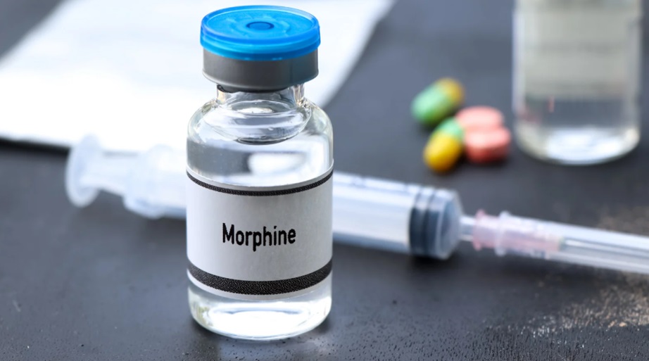 Morphine Addiction